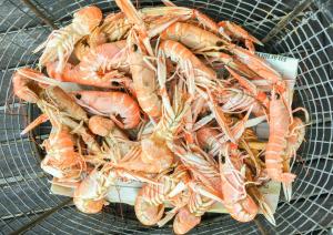 Farmhouse In Bohuslän Near Sea And Nature