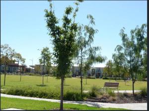 Luxury Apartment with Pool & Gym in Top Location- Lightsview