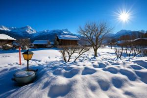 Chalet familiale spacieux - près de Villars