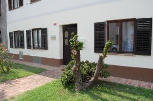 3 csillagos apartman Andron Solkan Szlovénia