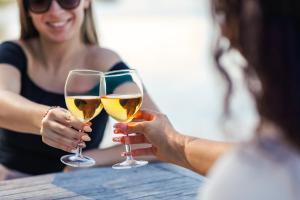 Partvilla Balatonboglar