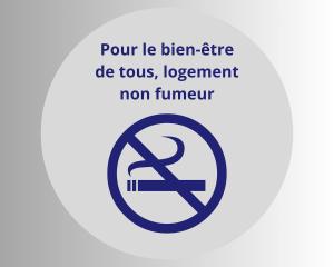 Le petit Carnot WIFI centre-ville