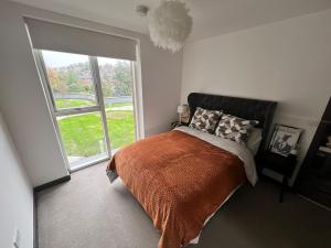 Modern Riverside Flat in central Reading