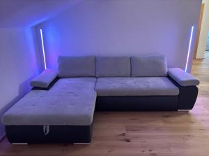 Ferienwohnung Vögel