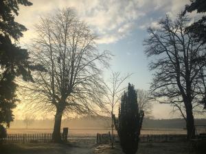 Natur, Seen, Sauna & Ruhe im brandenburgischen Seenland