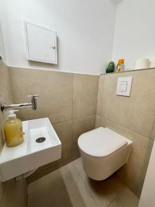 Napoléon 1er City Studio