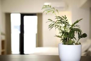 Asakusa 901 Deluxe Triple Room