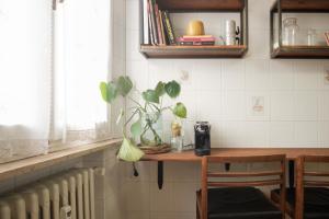 Tra le case di Reggio - Pisacane