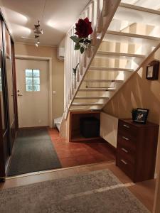 Villa Lapland Traveller