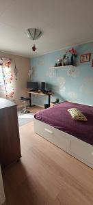 Villa Lapland Traveller