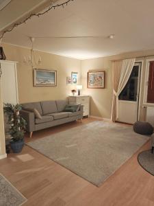 Villa Lapland Traveller