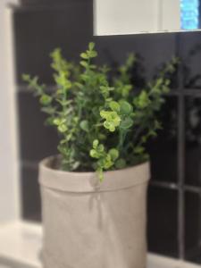 Stunning City View 3 Beds Apartment