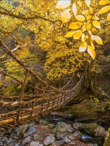 Minka -STAY century old Traditional Japanese house