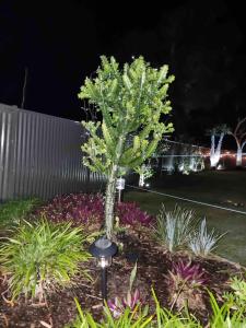 Sirenia beach retreat