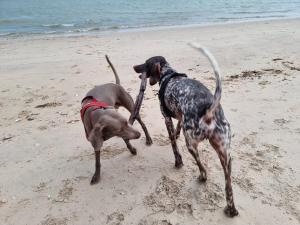 Sirenia beach retreat