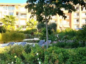 CAP HERMES 312, T2,3, 40m2 clim, parking, piscine