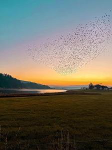 La Ferme du Bois de lHalle