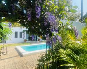 Nyumba Nyekundu - Little hide away in Watamu