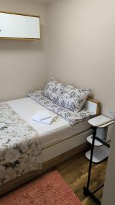 Border studio Aleksandri