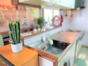 Soma City - House - Vacation STAY 15643