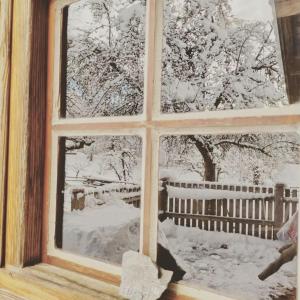Zetzenberghütte Nähe Skiwelt Amadé