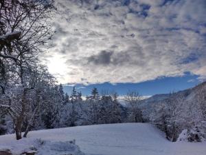 Zetzenberghütte Nähe Skiwelt Amadé
