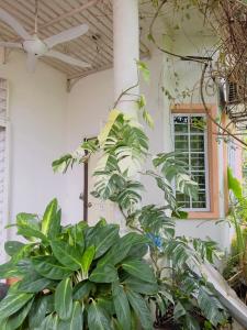 Homestay VillaSolihin Sungai Buloh