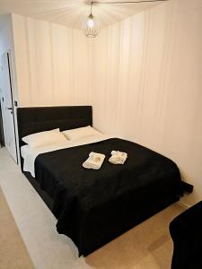 Axiom Suites - Zenith II - Netflix, HBO, Champagne