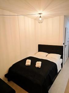 Axiom Suites - Zenith III - Netflix, HBO, Champagne