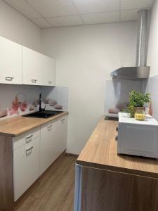 Apartma Center Ljutomer