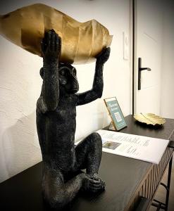 Jungle Suite - Draguignan