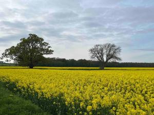 Gonerby Grange Farm Barn, Belton