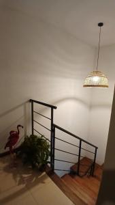 Posada Viraro - Duplex para disfrutar en familia