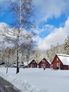Chalets & Apartments - Base Camp Medvědín