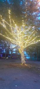 Raniah homestay