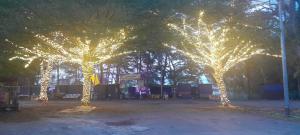 Raniah homestay