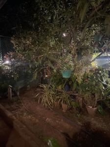 Dambulla Village Stay