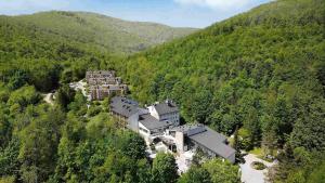 Magnus Resort