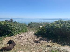 Beachfront House At Hølken Beach