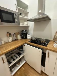 Prague 1 Center Modern 2BR Apartment with Panoramic Museum View and King Bed