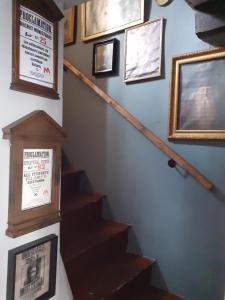 Le terrier des sorciers