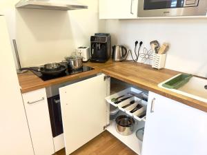 Prague 1 Center Elegant 2BR Apartment with Panoramic Museum View and King Bed