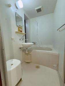 YY-Minamicho 1 room-IT0339