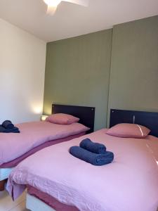 Le Chant des Cigales