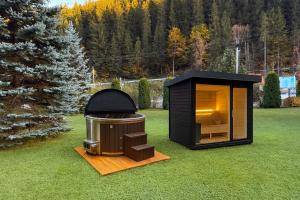 Lacu Roșu Mountain Lodge