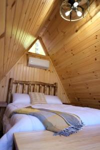 Amazing A-Frame by Tappan Lake Perfect for Outdoor Lovers in Ohio