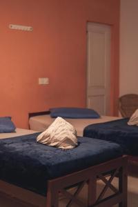 New Blue Mount View Kandy