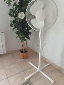 Maison lumineuse proche du centre