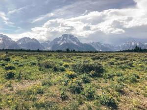 Unique Steampunk Tiny House Rental in Swan Valley, Idaho near Jackson Hole