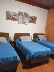 Hospedaje Centro Huequén